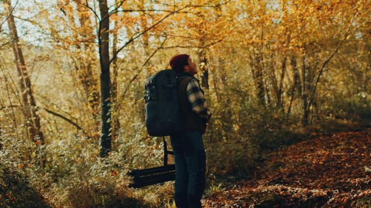Voir l'automne,
une saison en France